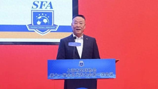 柳海光连任上海足协掌门人，2025年上海职业足球入场观众破100万人次