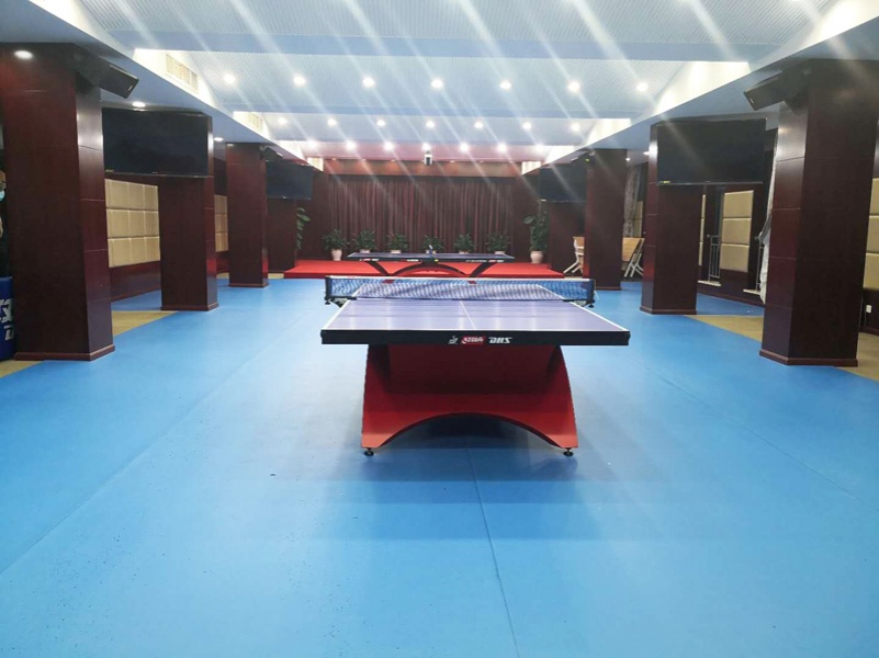 乒乓球场馆庞伯特发球机